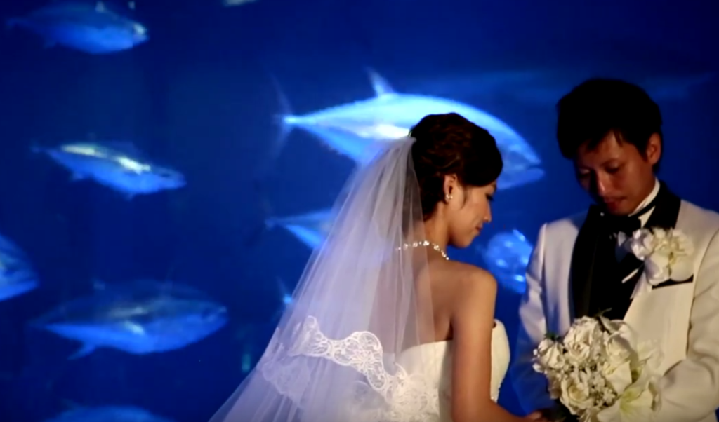 水族館で挙げる結婚式は写真撮影に最高 オススメの演出と式場まとめ Marrying マリーング